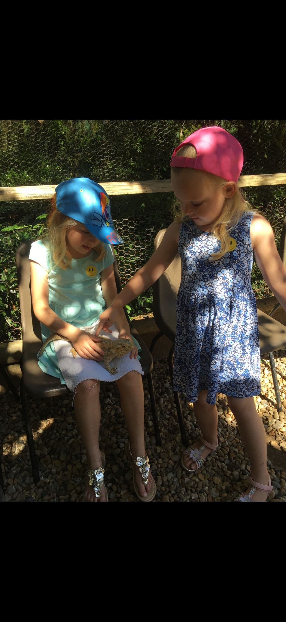 A gentle reptile handling moment